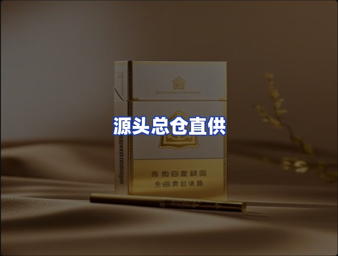 专业团队